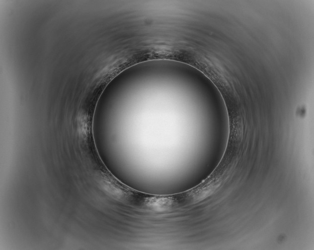 X0000099560135200805161502