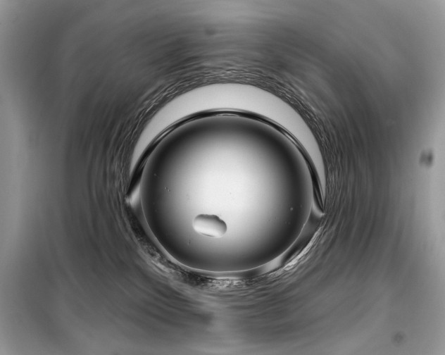 X0000099560136200805161502