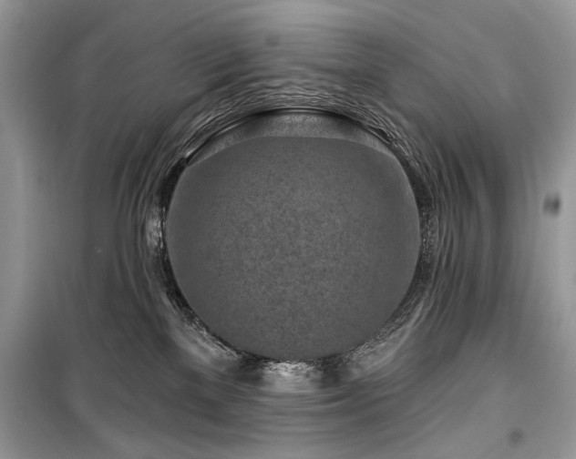 X0000099560137200805161502