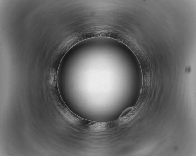 X0000099560138200805161502