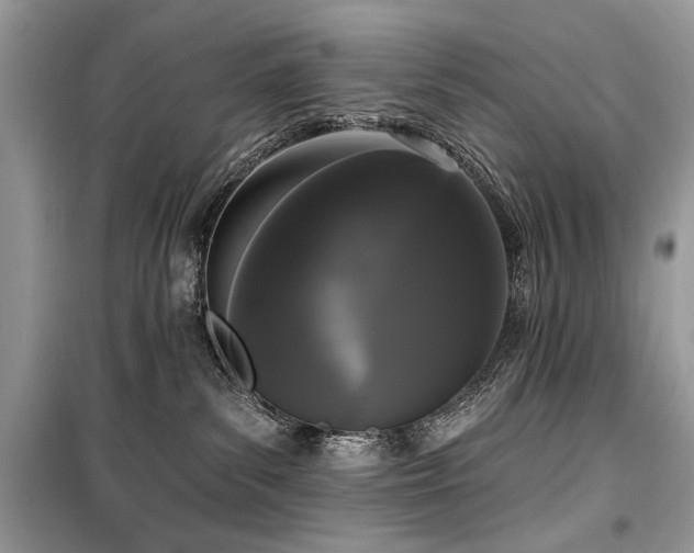 X0000099560139200805161502