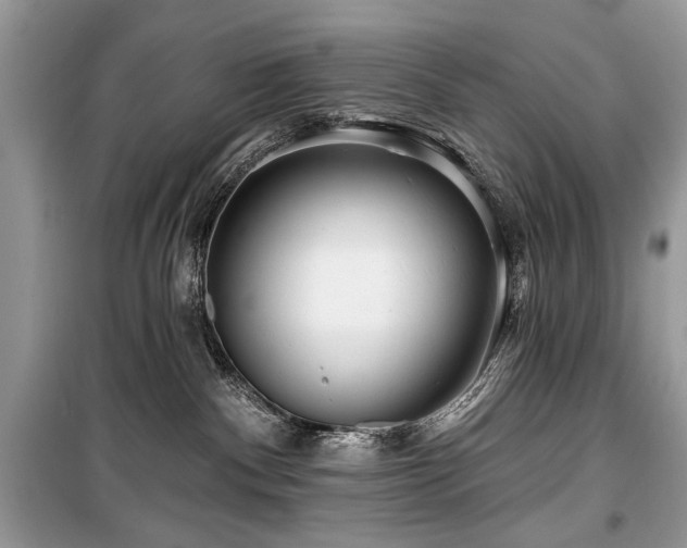 X0000099560140200805161502