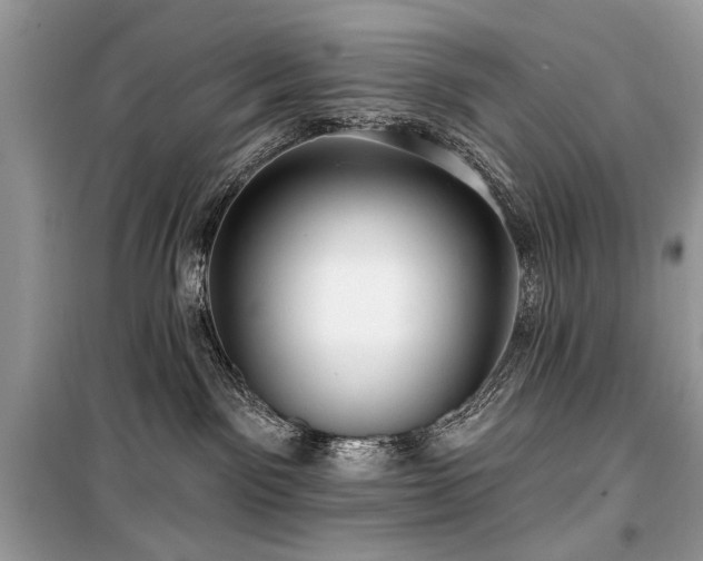 X0000099560141200805161502