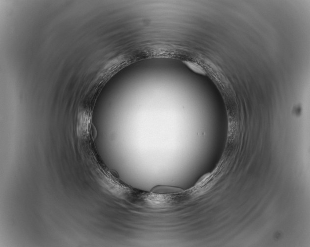 X0000099560142200805161502