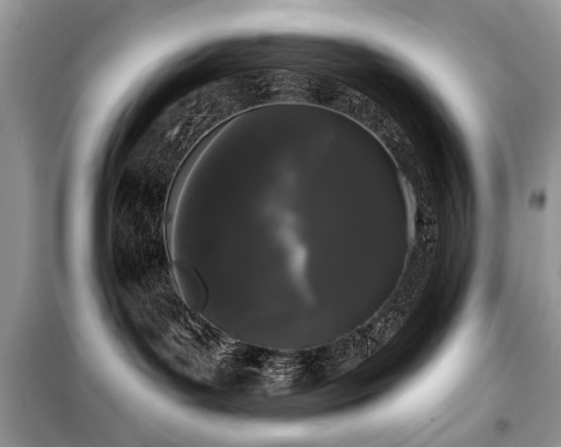 X0000099560143200805161502