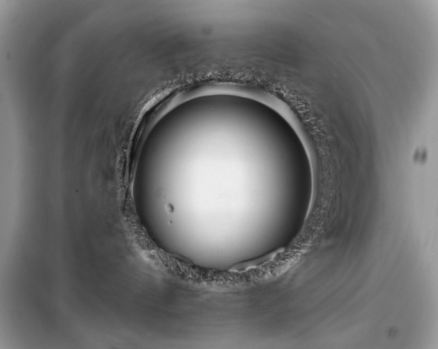 X0000099560144200805161502