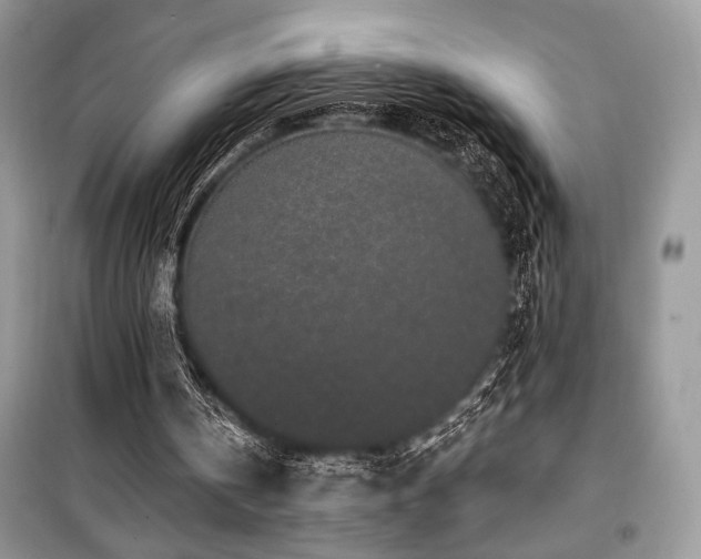 X0000099560146200805161501