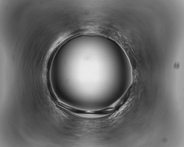 X0000099560150200805161501