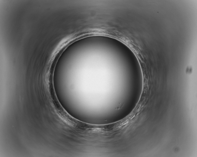 X0000099560151200805161501