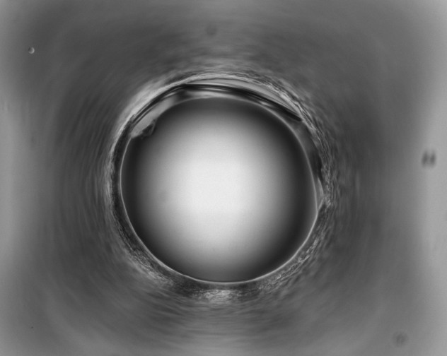 X0000099560152200805161501