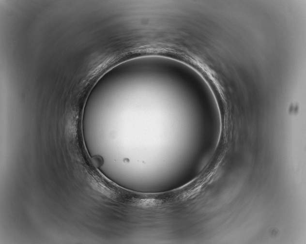 X0000099560153200805161501