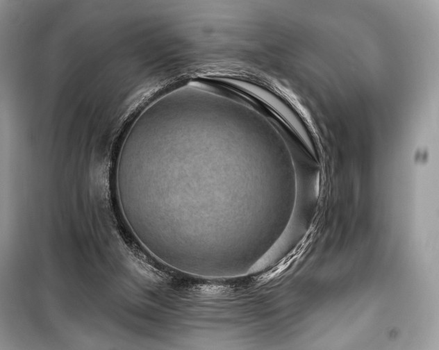 X0000099560154200805161501