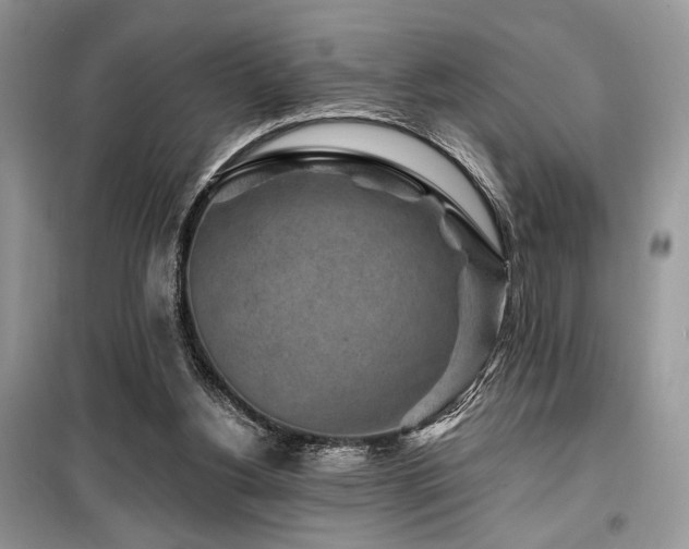 X0000099560156200805161501