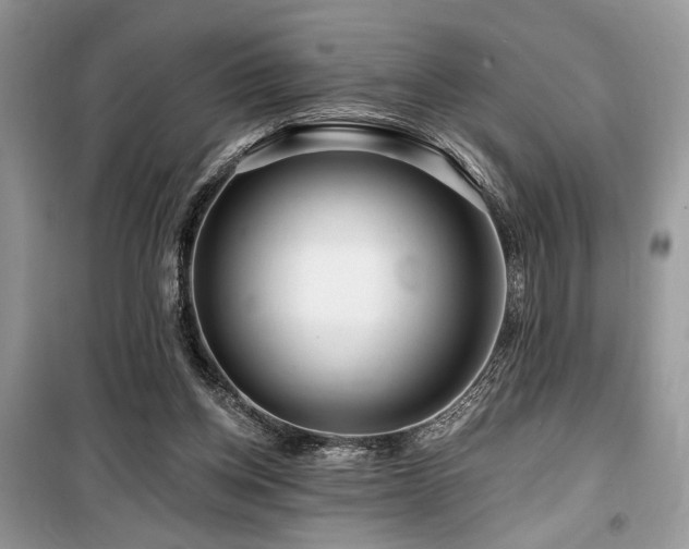 X0000099560158200805161501