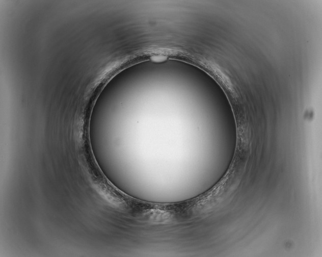 X0000099560159200805161501