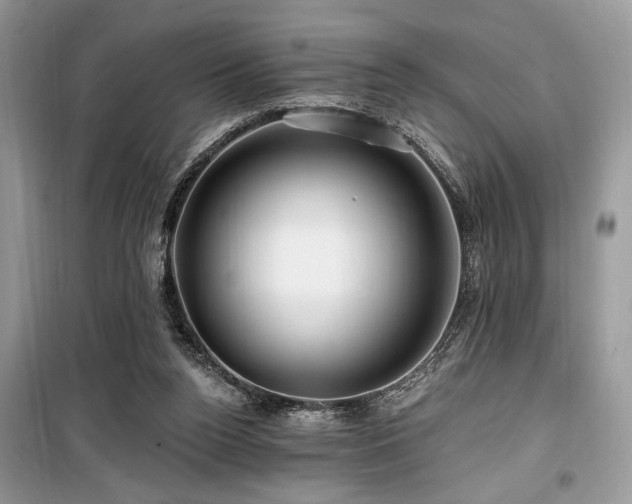 X0000099560160200805161501