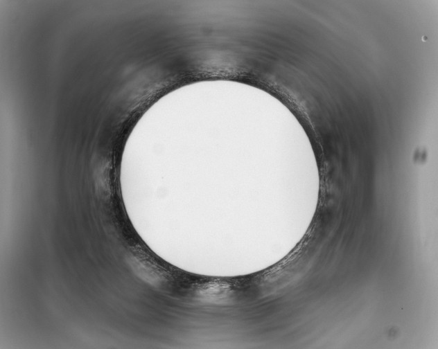 X0000099560162200805161501