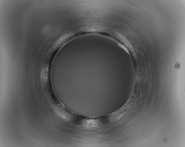 X0000099560163200805161501