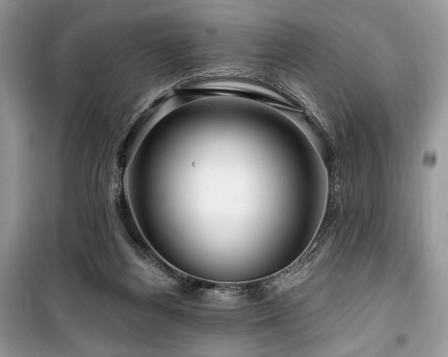 X0000099560164200805161501