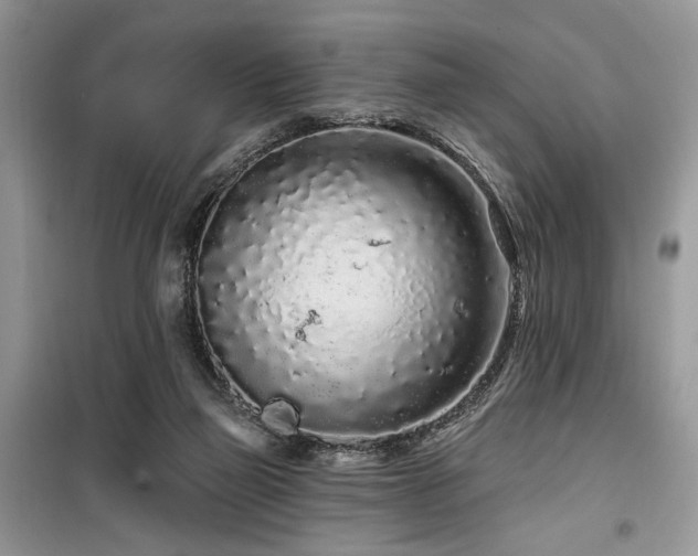 X0000099560165200805161501