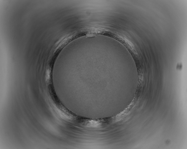 X0000099560166200805161501