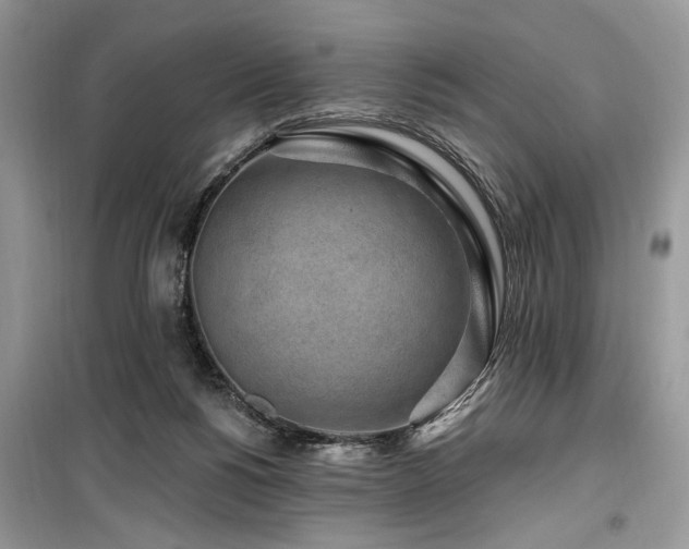 X0000099560168200805161501