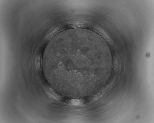 X0000099560169200805161501