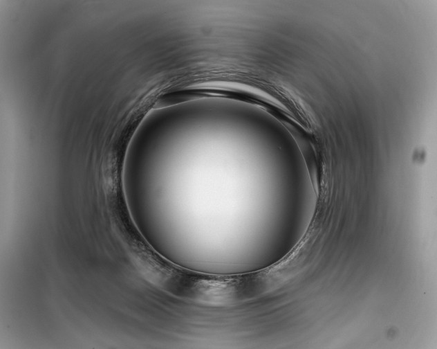 X0000099560170200805161501