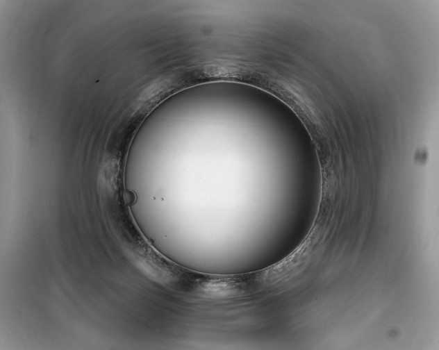 X0000099560171200805161501