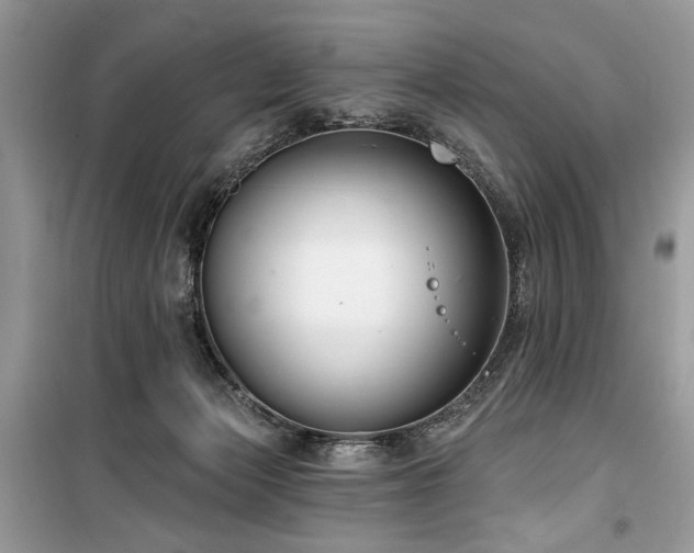 X0000099560173200805161501