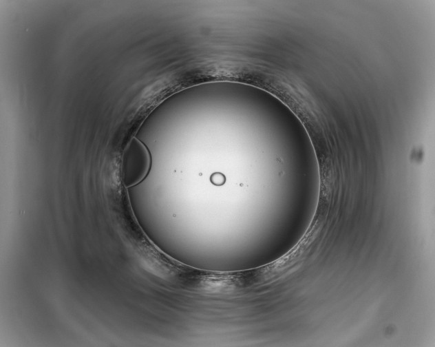 X0000099560175200805161501