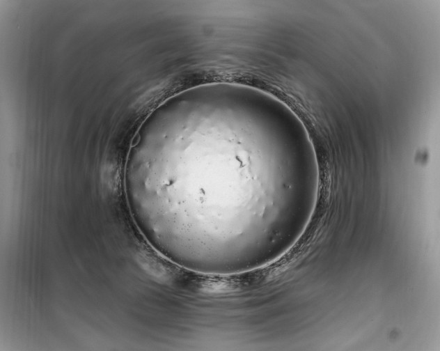 X0000099560177200805161501