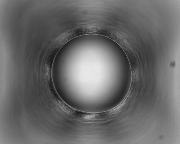 X0000099560178200805161501