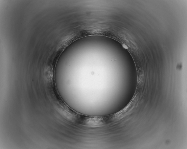 X0000099560179200805161502