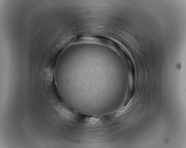 X0000099560180200805161502