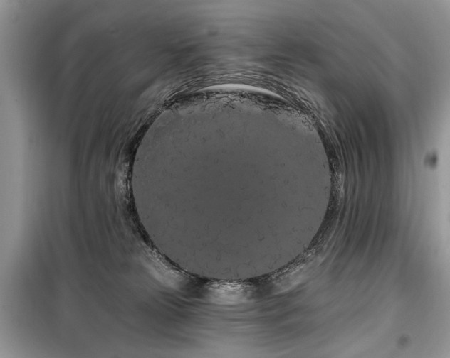 X0000099560181200805161502