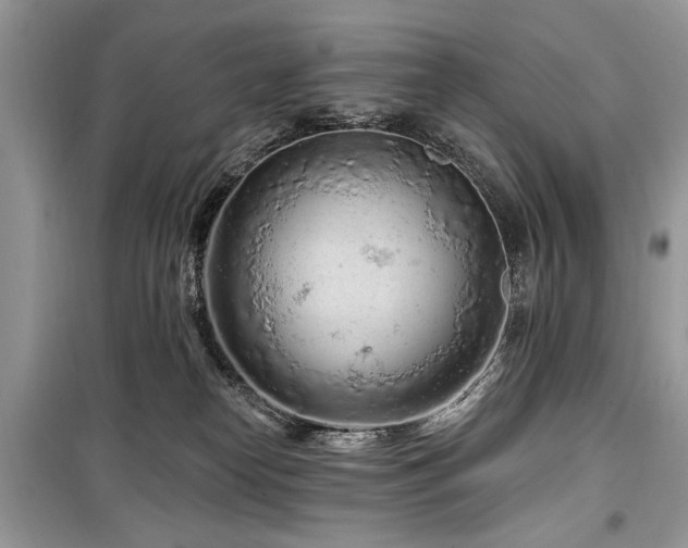 X0000099560182200805161502