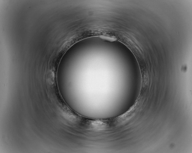 X0000099560183200805161502