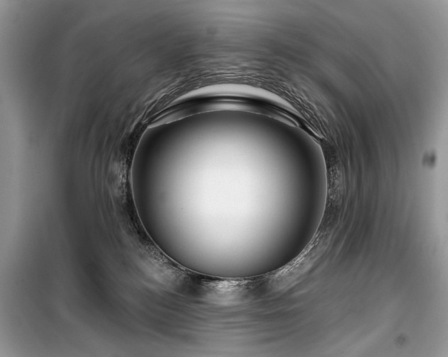 X0000099560184200805161502