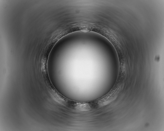 X0000099560185200805161502