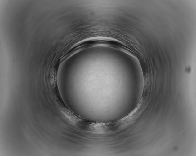 X0000099560186200805161502