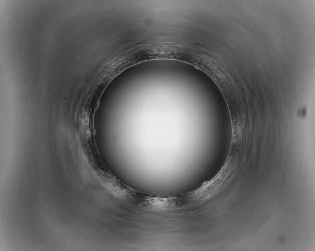 X0000099560187200805161502