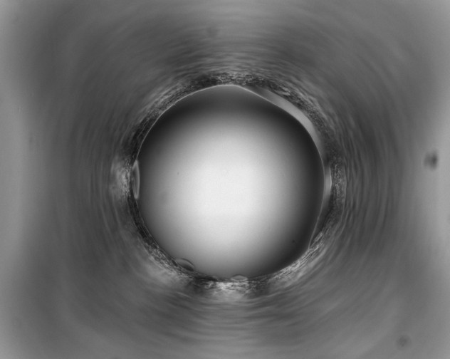 X0000099560188200805161502