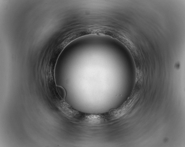 X0000099560189200805161502