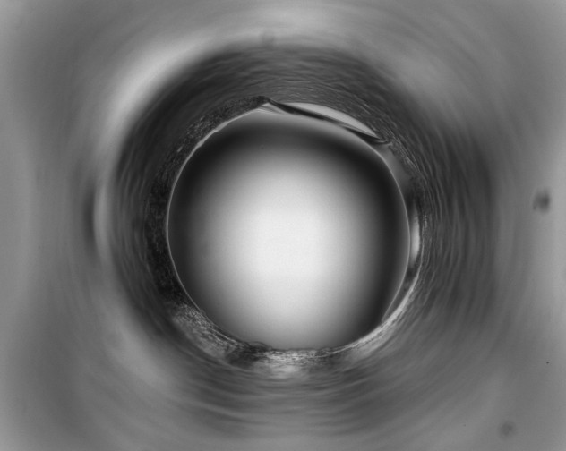 X0000099560190200805161502