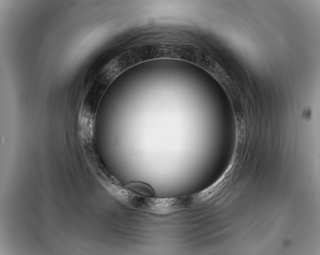 X0000099560191200805161502