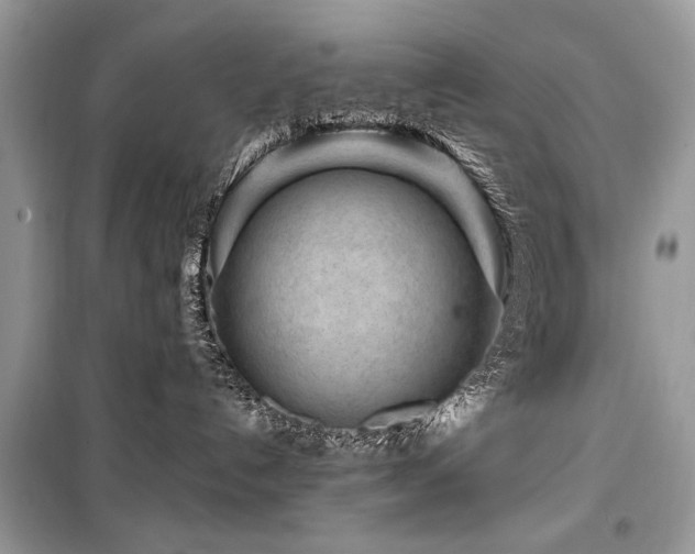 X0000099560192200805161502