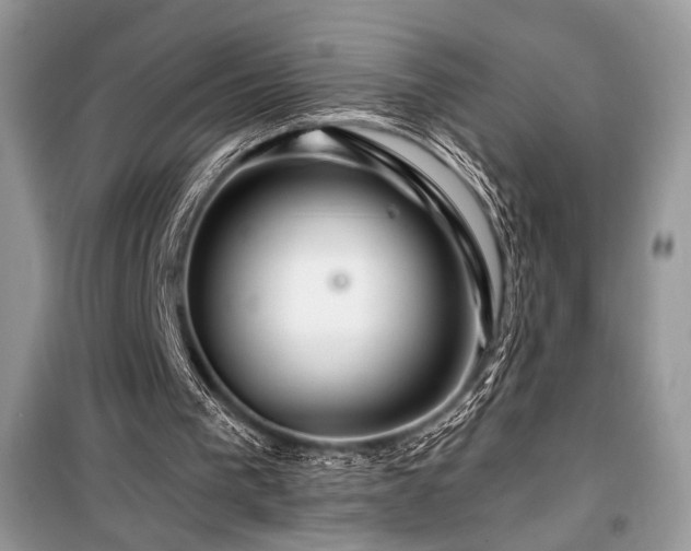 X0000099560193200805161501