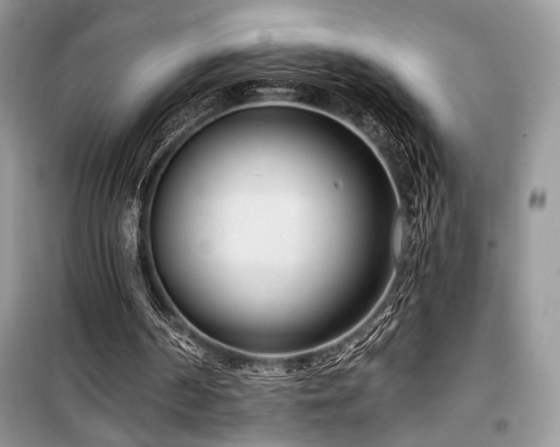 X0000099560194200805161501