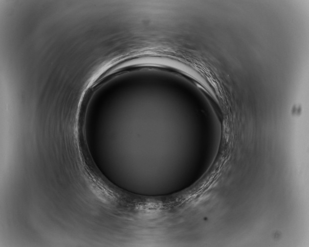 X0000099560196200805161501